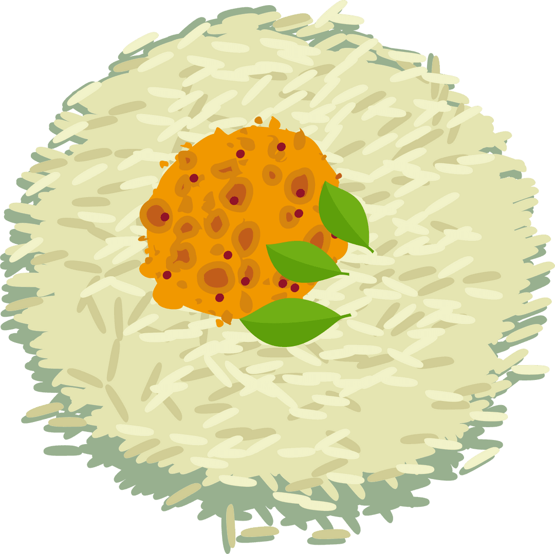 Minimalist Rice and Spice Illustration on Transparent Background