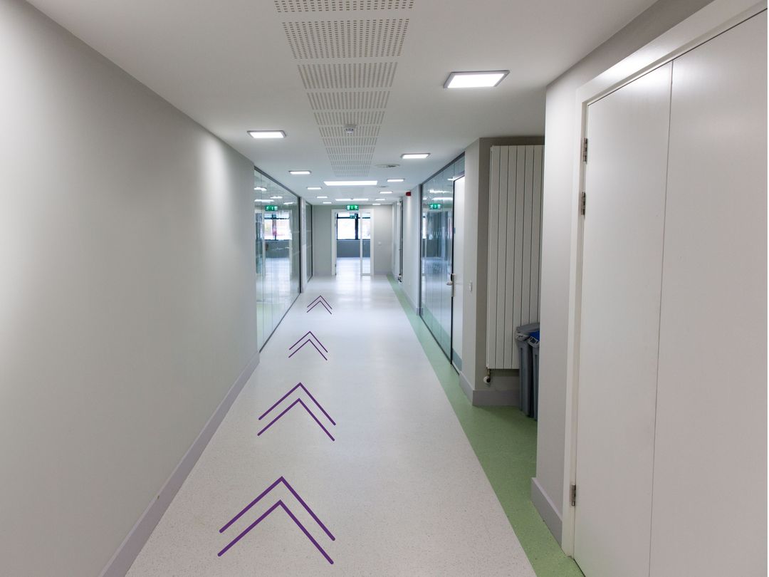Modern Office Corridor Showing Career Path with Purple Chevron Arrows