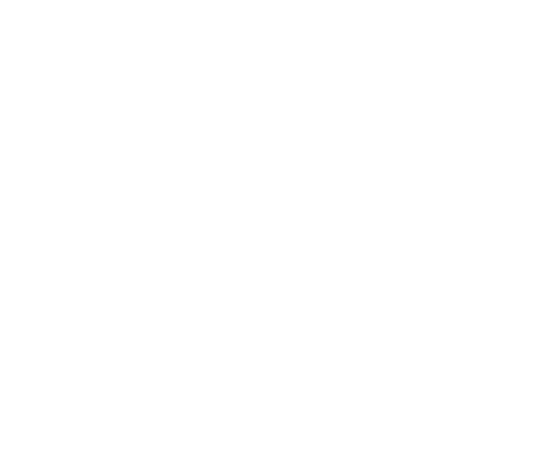 Male Golfer Silhouette on Transparent Background - Download Free Stock Images Pikwizard.com