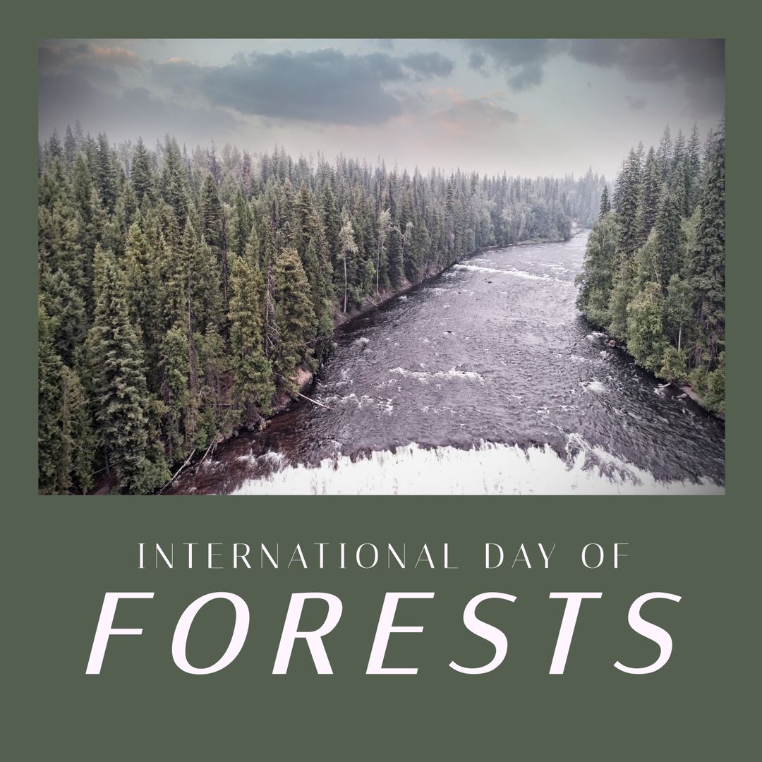 Celebration of International Day of Forests with Scenic River in Dense Forest - Download Free Stock Templates Pikwizard.com