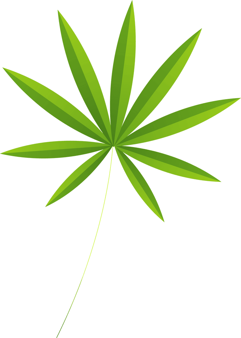 Transparent Stylized Green Leaf Illustration with Pointed Leaflets