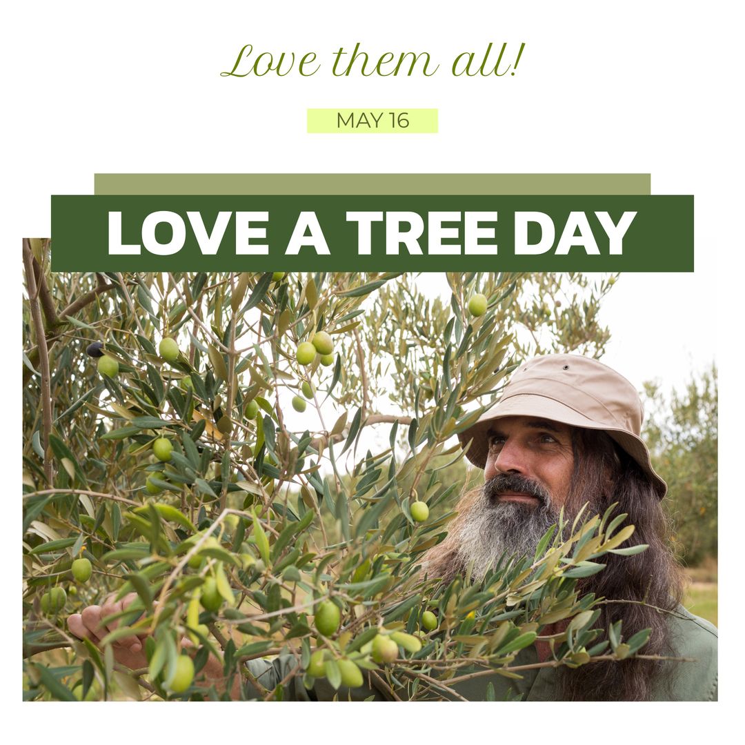 Senior Man Appreciating Trees on Love a Tree Day