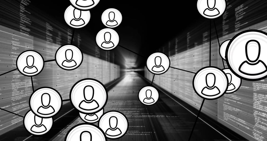 Abstract Network of Connected Digital Profiles