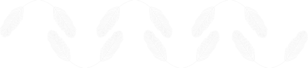 Abstract Modern Silhouette Feather Borders on Transparent Background