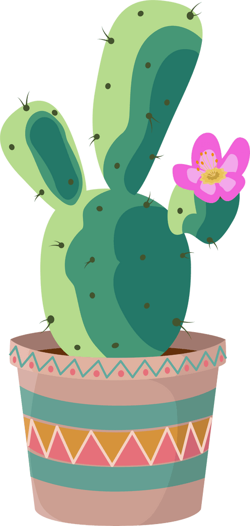 Vibrant Cactus with Pink Blossom in Geometric Pot on Transparent Background