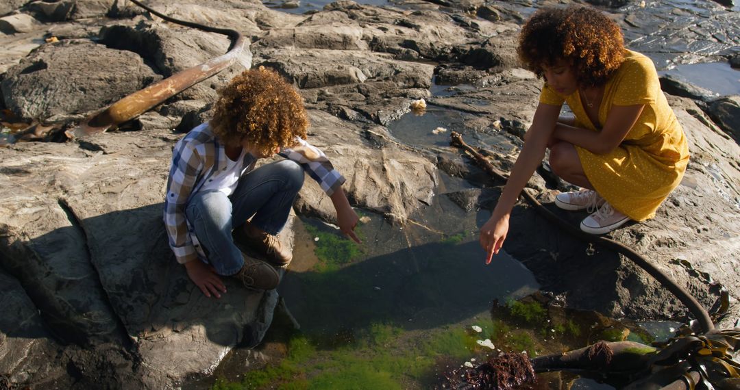 Children Exploring Tidal Pool on Rocky Shore - Free Images, Stock Photos and Pictures on Pikwizard.com