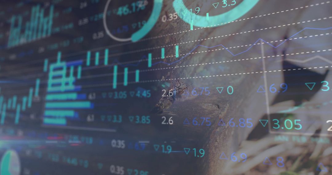 Nature and Data Integration with Forest and Financial Graphics
