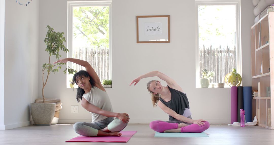 Two Women Practicing Yoga Together in Bright Home Studio - Free Images, Stock Photos and Pictures on Pikwizard.com