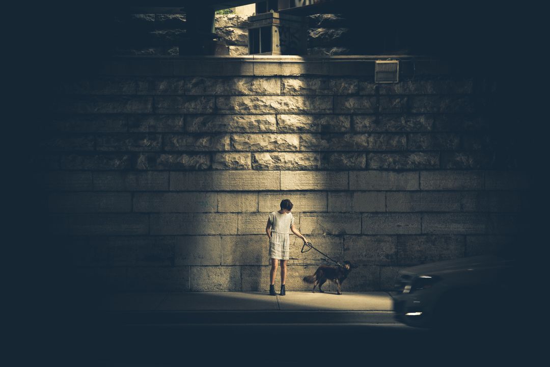 Lonely Woman Walking Dog in Dark Urban Setting - Free Images, Stock Photos and Pictures on Pikwizard.com