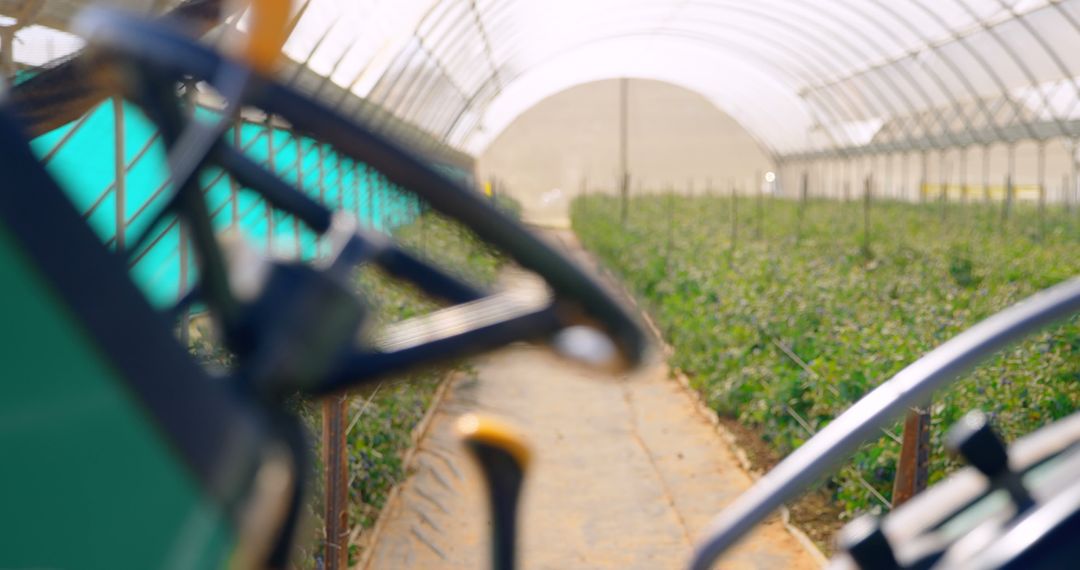 Modern Greenhouse Farm with Blurred Tractor in Foreground