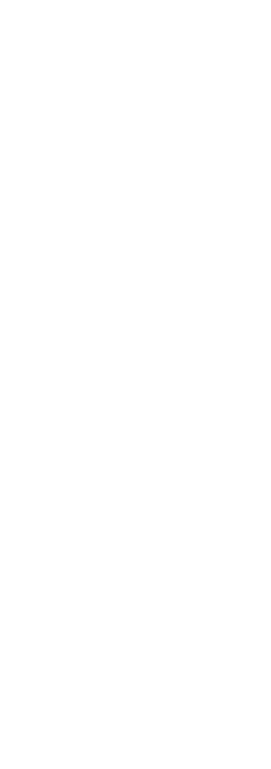 Digital Silhouette of Female Archer with Bow and Arrow on Transparent Background - Download Free Stock Images Pikwizard.com