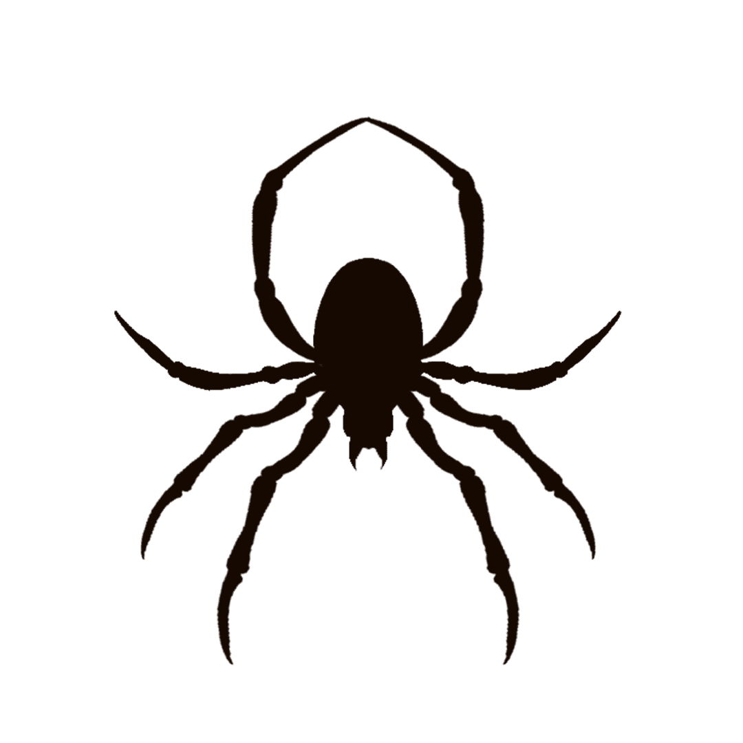 Minimalist Black Spider Silhouette on Transparent Background