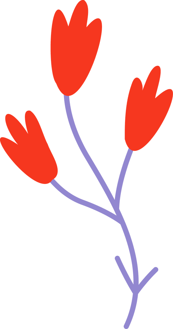 Minimalist Red Floral Sprig with Transparent Background
