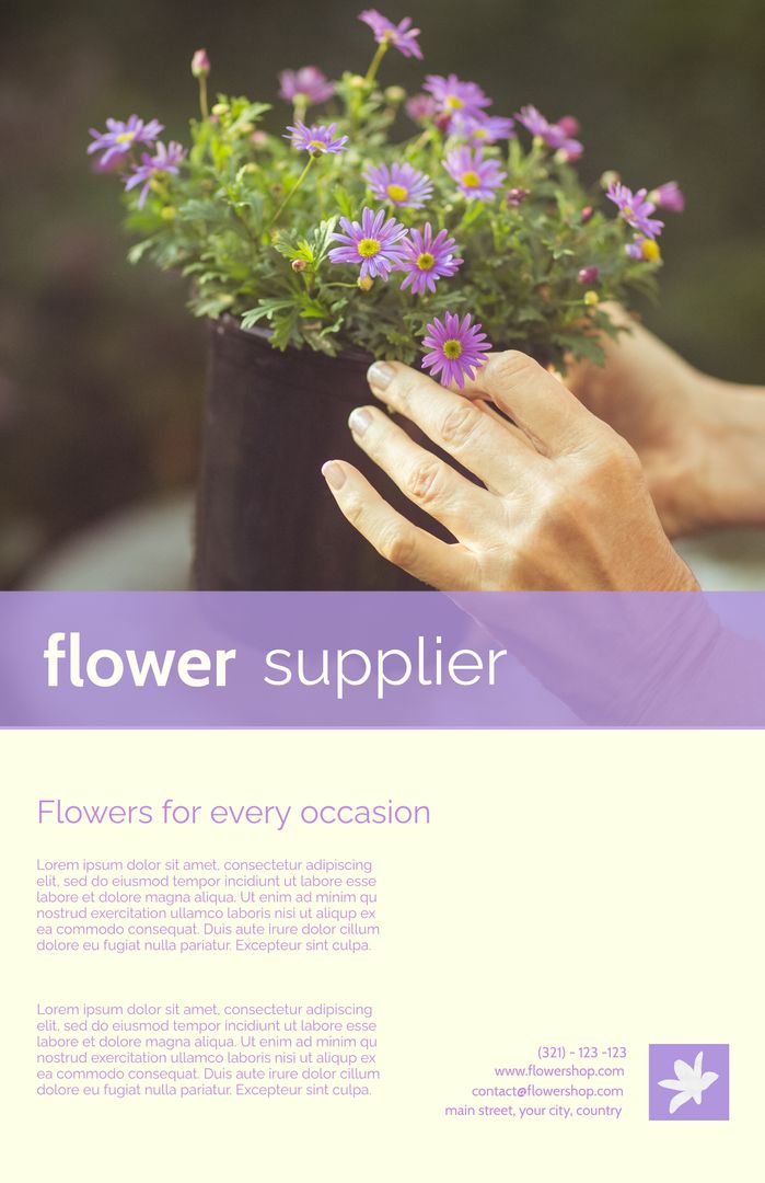 Hands Gently Holding Purple Daisies Promoting Flower Supplier