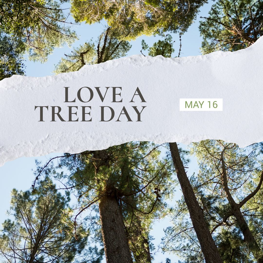 Love a Tree Day Concept with Forest View and Sky - Download Free Stock Templates Pikwizard.com