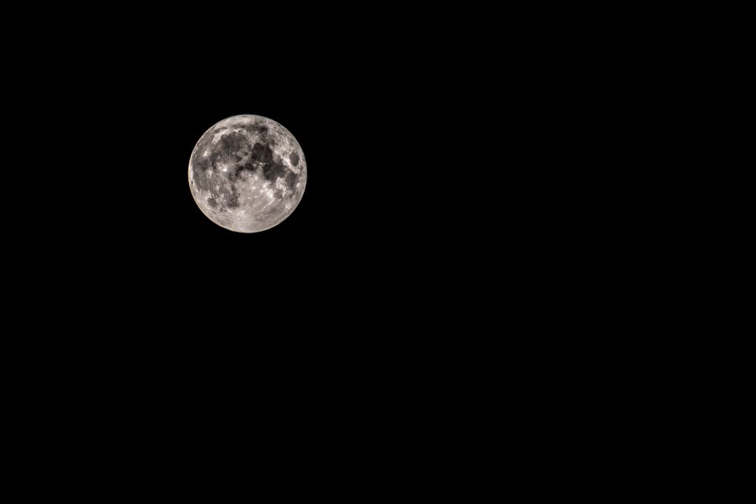 Low Angle View of Full Moon at Night - Free Images, Stock Photos and Pictures on Pikwizard.com
