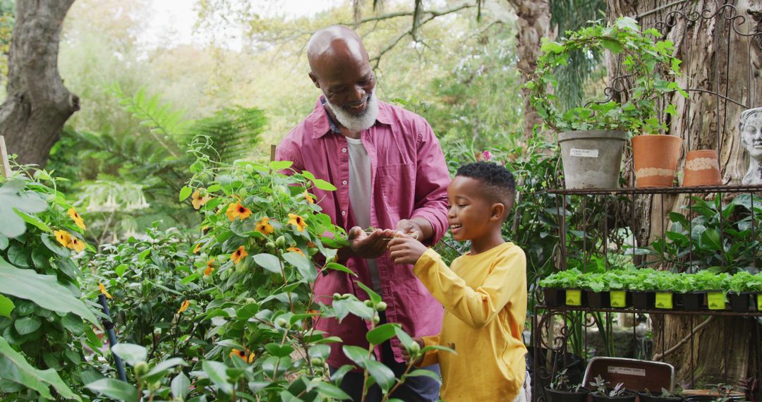 Grandfather and Grandson Planting Flowers Together in Garden - Free Images, Stock Photos and Pictures on Pikwizard.com