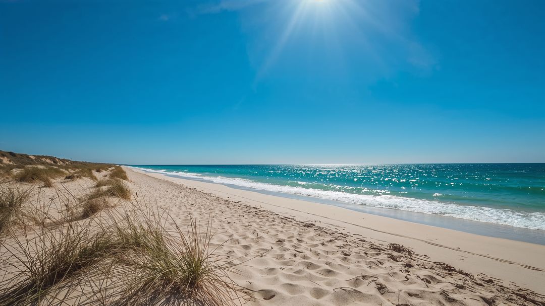 Tranquil Sunlit Beach with Dune Grasses and Sparkling Waves