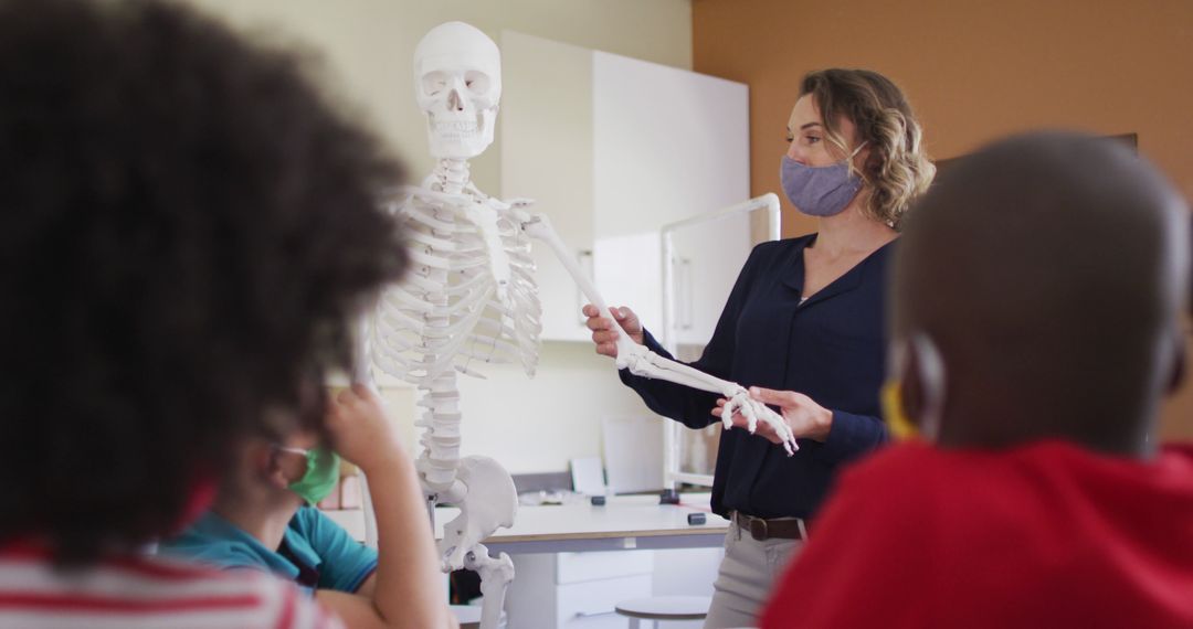 Teacher Demonstrating Skeleton Anatomy to Students in Classroom - Free Images, Stock Photos and Pictures on Pikwizard.com