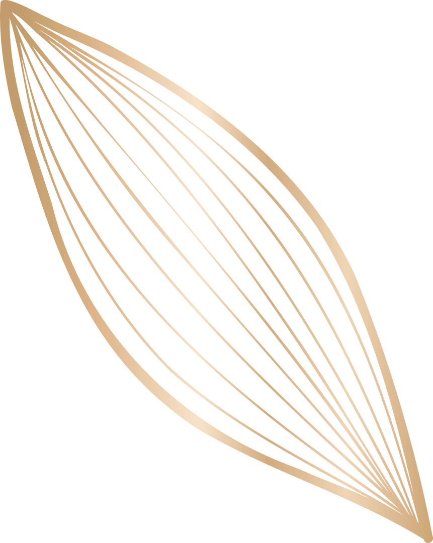 Luxury Transparent Abstract Gold Line Leaf Design