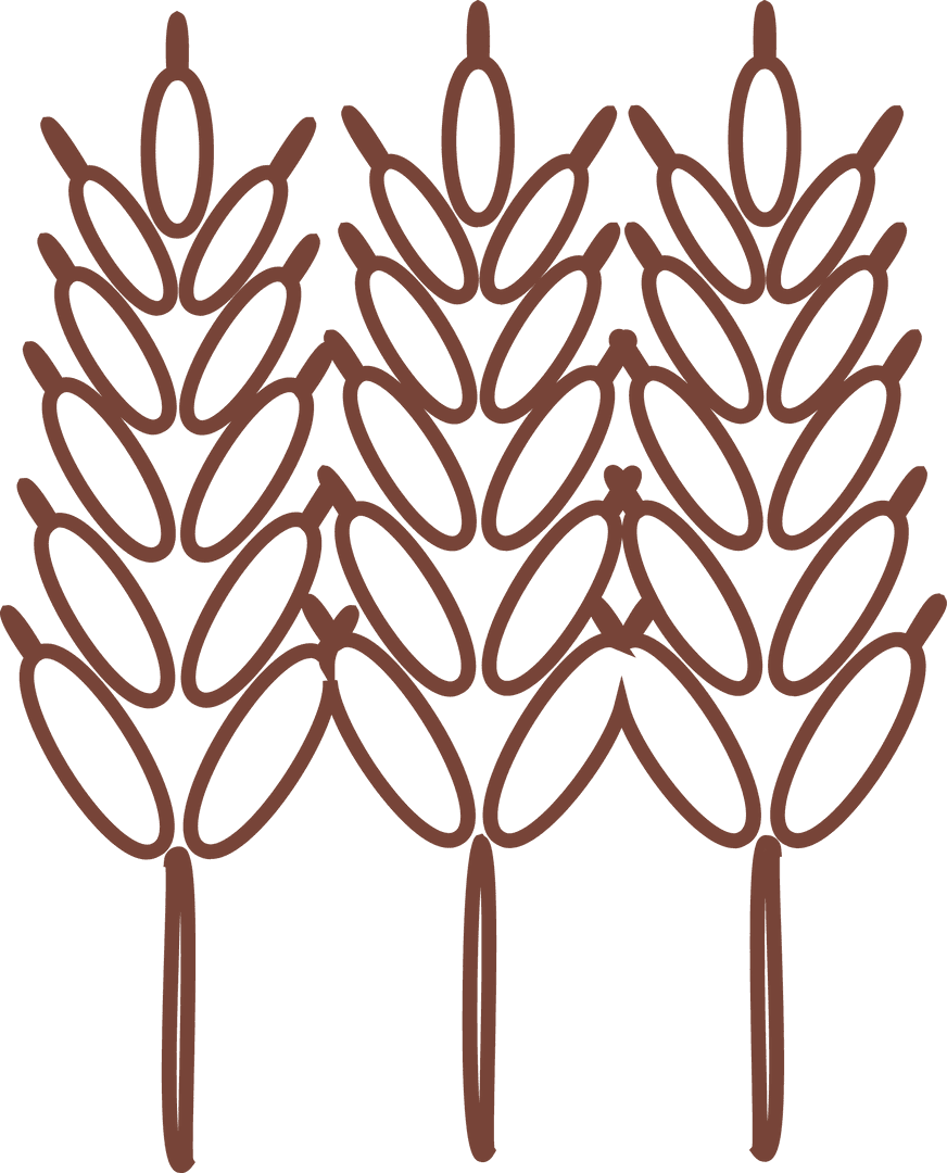 Minimalist Transparent Wheat Stalk Illustration for Eco Designs