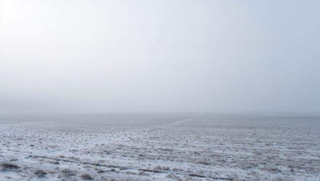 Minimalist Foggy Winter Plain with Frosted Grass and Faint Tracks Leading to Hazy Horizon