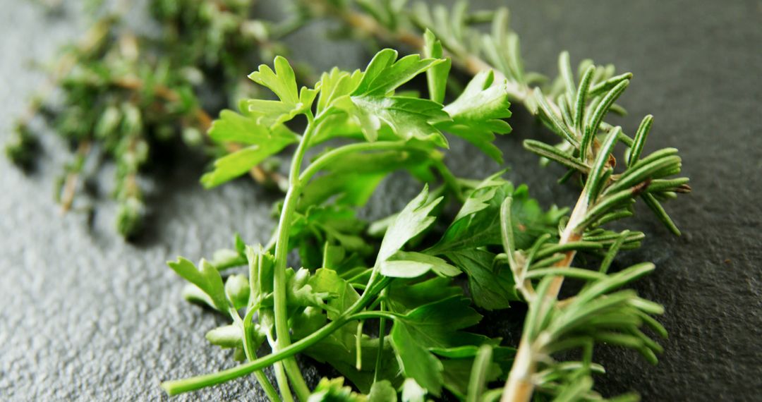 Fresh Rosemary, Thyme, and Parsley on Dark Background - Free Images, Stock Photos and Pictures on Pikwizard.com