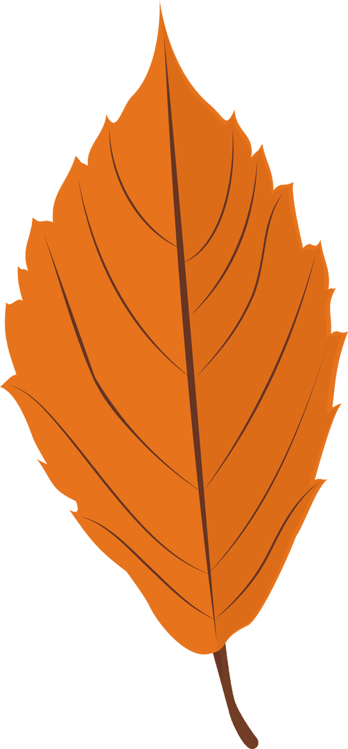 Flat Orange Colored Leaf with Transparent Background