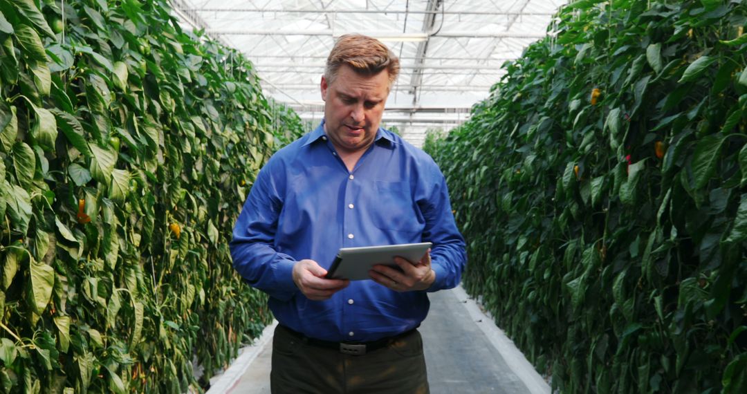 Male Agricultural Expert Analyzing Data in Greenhouse