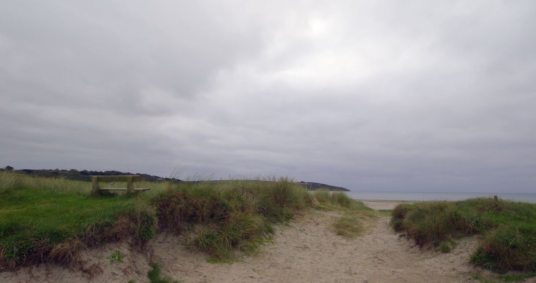 Cloudy Beach Path Amidst Green Grass Leading to Sea - Free Images, Stock Photos and Pictures on Pikwizard.com