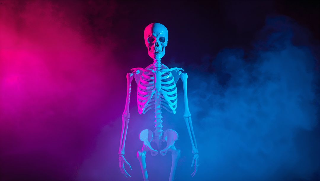 Anatomical Skeleton Model in Neon Fog Lights