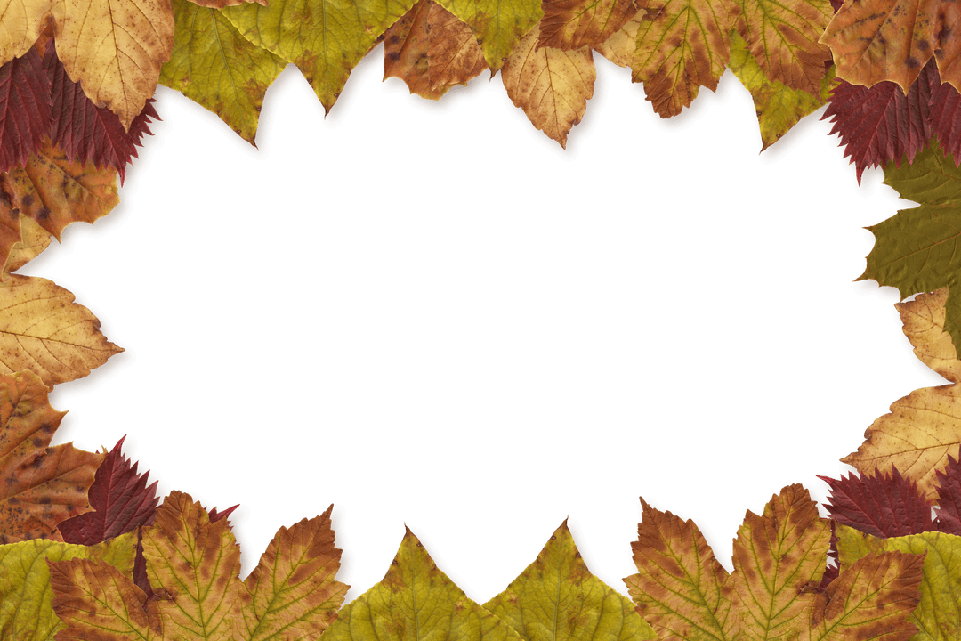 Frame of Autumn Leaves on Transparent Background for Seasonal Designs