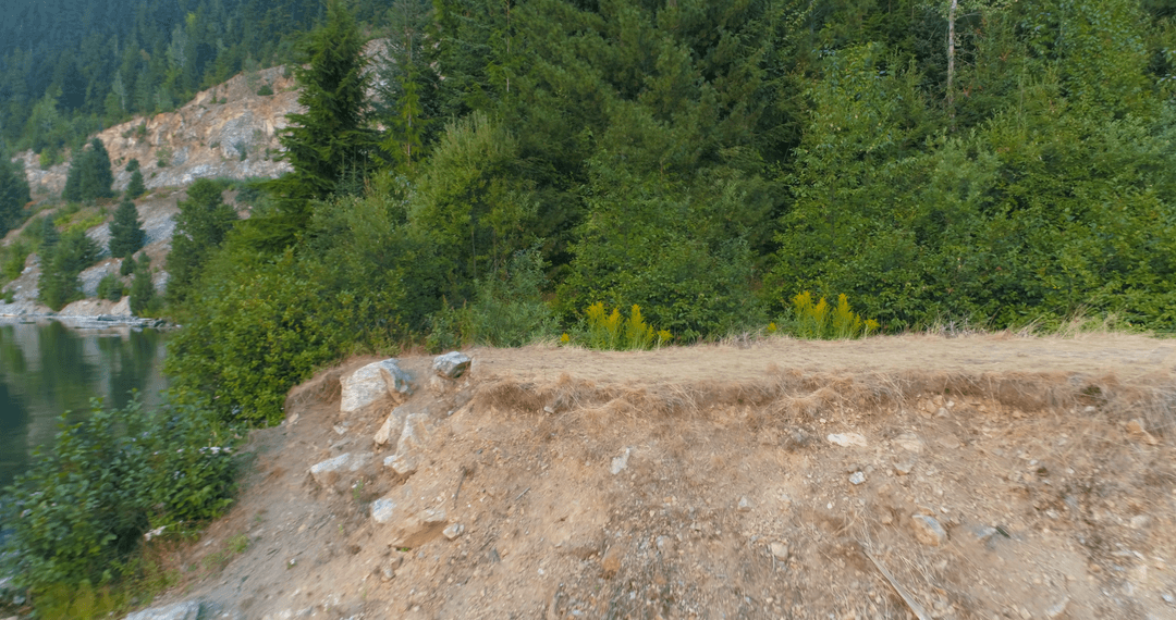 Transparent Mountain Trees Growing Alongserrated Line