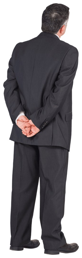 Transparent Viewing Thoughtful Businessman Back View