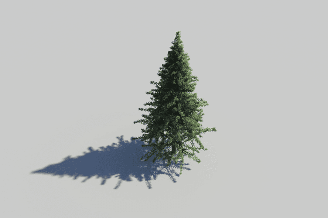 Transparent Christmas Tree Illustration with Shadow Background