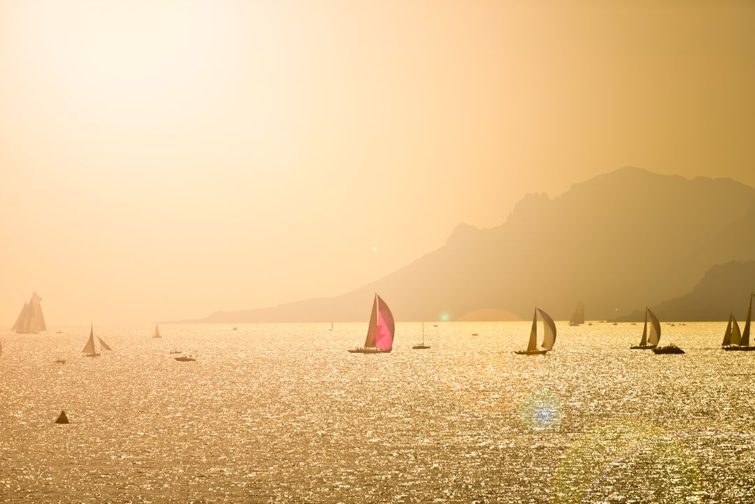 Sailboats Gliding on Sunny Ocean Waters During Golden Hour - Free Images, Stock Photos and Pictures on Pikwizard.com