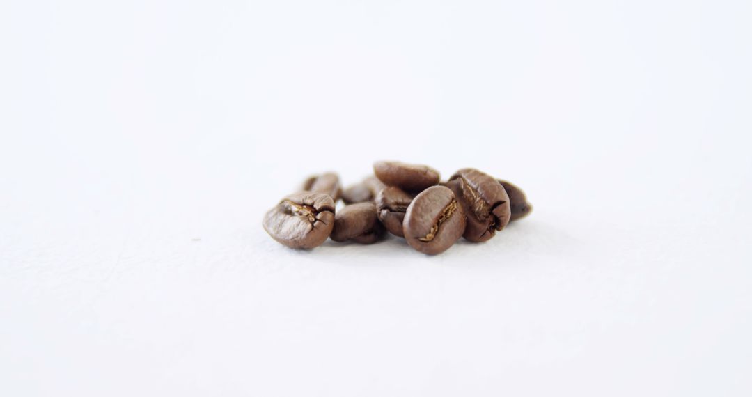 Close-Up of Freshly Roasted Coffee Beans on White Background - Free Images, Stock Photos and Pictures on Pikwizard.com