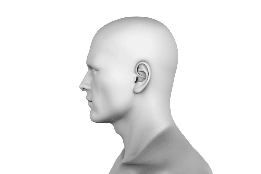 Digital Silhouette of Man's Head on Transparent Background