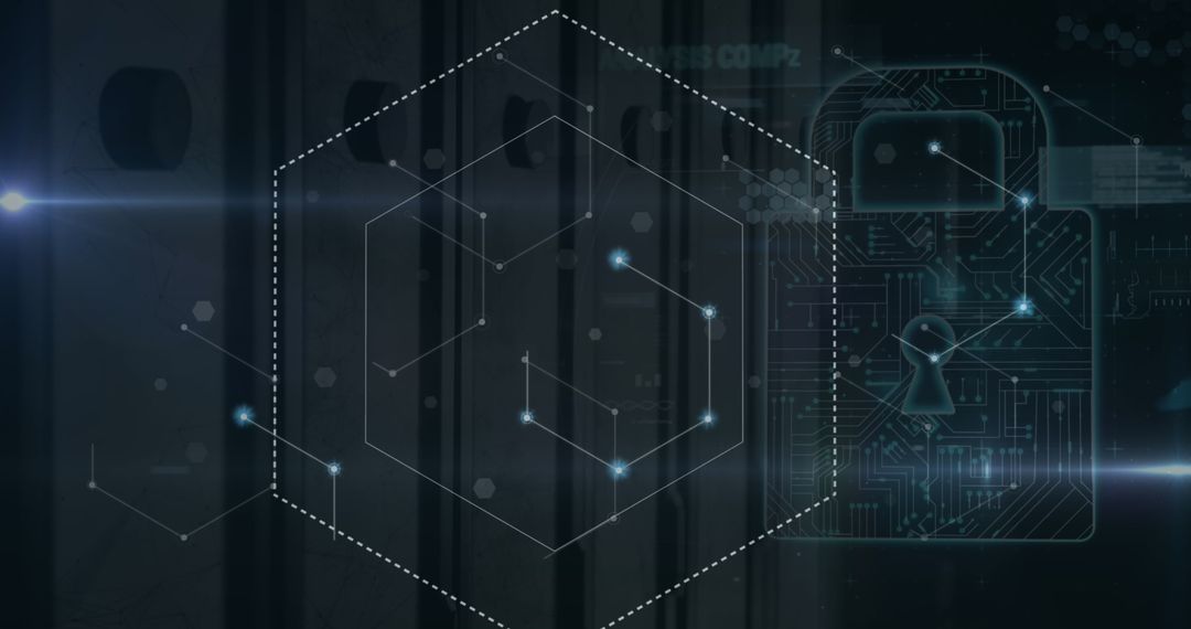 Digital security network interface with global connections
