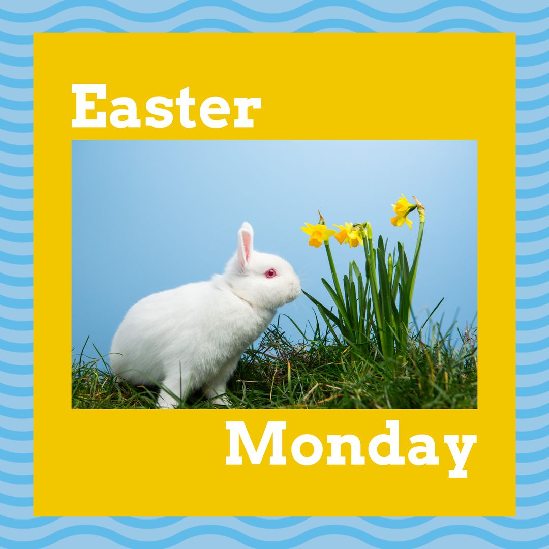 Easter Monday Rabbit with Daffodils and Blue Background