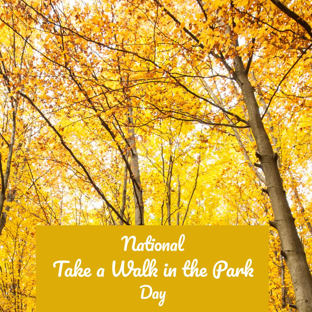 National Take a Walk in the Park Day with Autumn Trees - Download Free Stock Templates Pikwizard.com