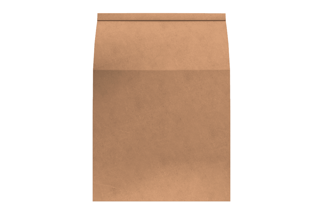 Blank Transparent Kraft Paper Packet Mockup Design