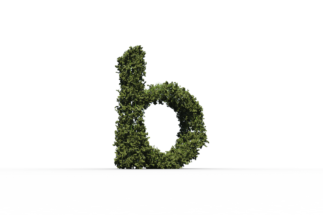 Transparent Letter B Shaped Tree Made from Green Leaves isolated - Download Free Stock Images Pikwizard.com