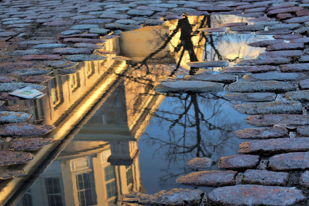 Building Reflection in Puddle on Cobblestone Street - Free Images, Stock Photos and Pictures on Pikwizard.com