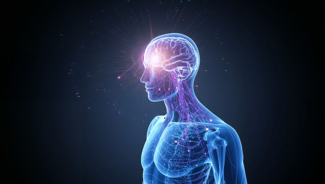 Holographic Display of Glowing Brain and Neural Pathways