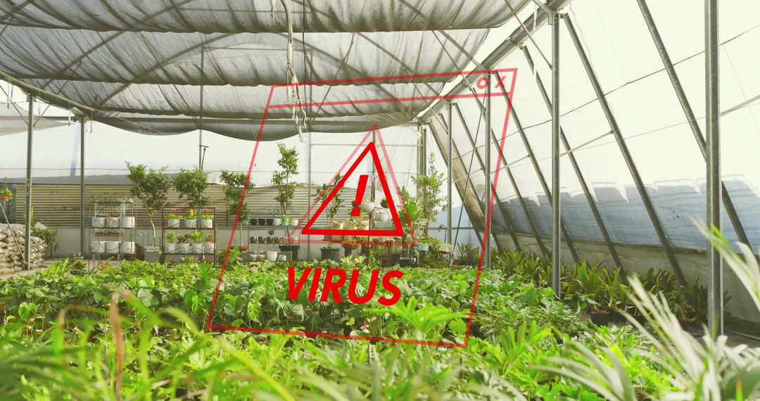 Greenhouse Seedlings Showing Viral Warning Overlay for Biosecurity Risk