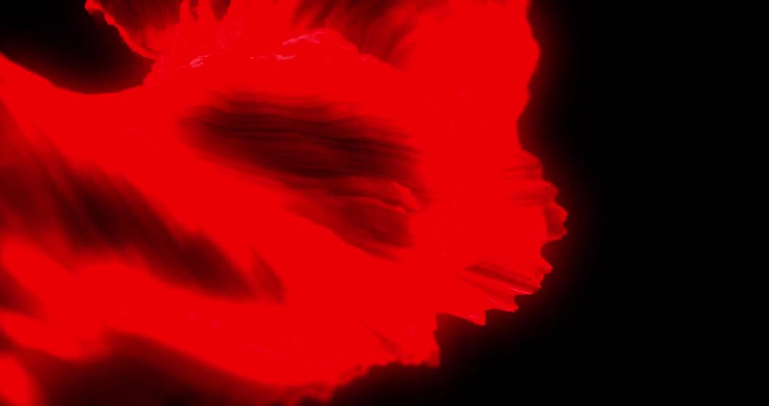 Abstract Fiery Red Explosion Against Black Background