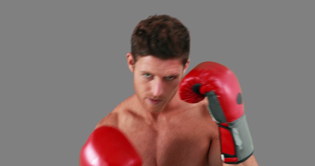 Boxer Training with Red Gloves on Gray Background - Free Images, Stock Photos and Pictures on Pikwizard.com