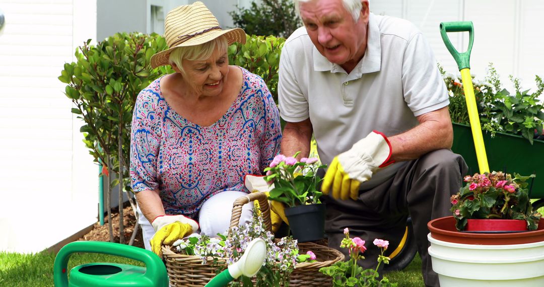 Senior Couple Gardening Together in Backyard Garden - Free Images, Stock Photos and Pictures on Pikwizard.com