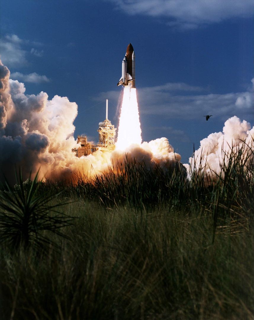 Space Shuttle Columbia Launching from Kennedy Space Center - Free Images, Stock Photos and Pictures on Pikwizard.com